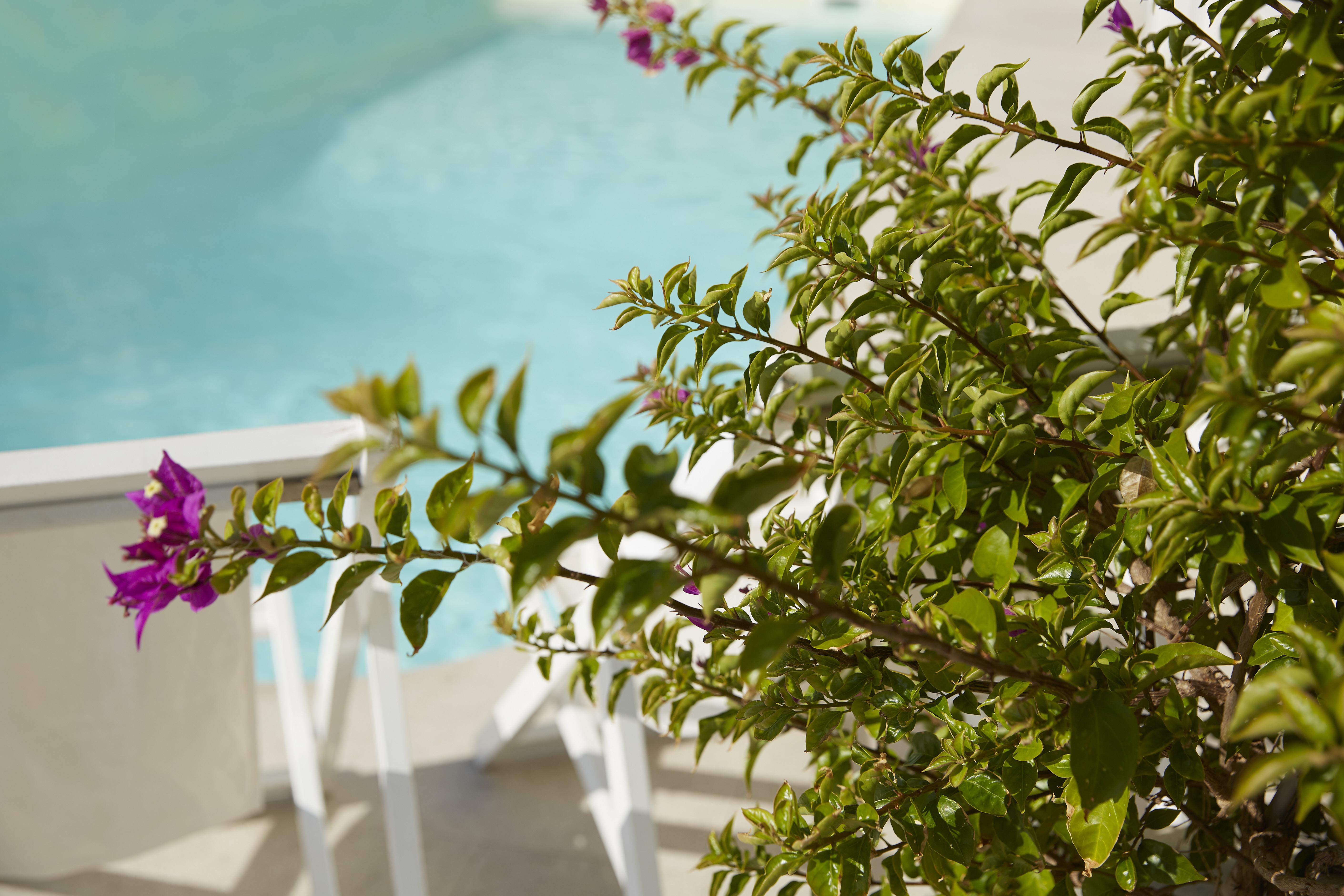 Mon Repos Palace “Art Hotel” Operated By Ella Resorts (Adults Only) Corfu  Extérieur photo